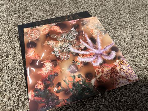 Portals Australian vinyl unboxing : r/MelanieMartinez