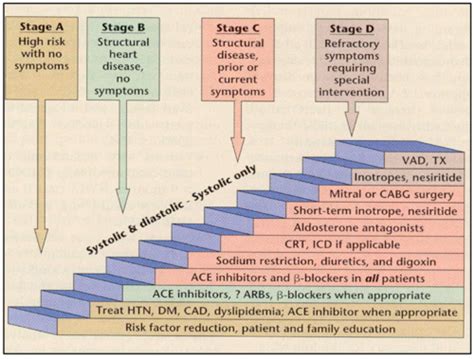 Heart Failure Stages Flashcards | Quizlet