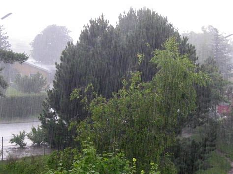 Chuva ácida causas consequências e soluções detalhadas