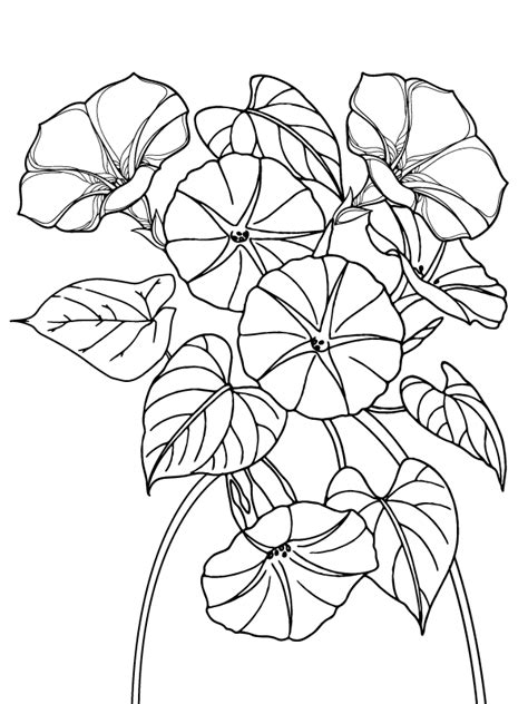 Morning Groly Coloring Page F Rbung Seite Kostenlose Druckbare