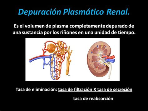 Chikis Blogs Depuración Plasmática Renal