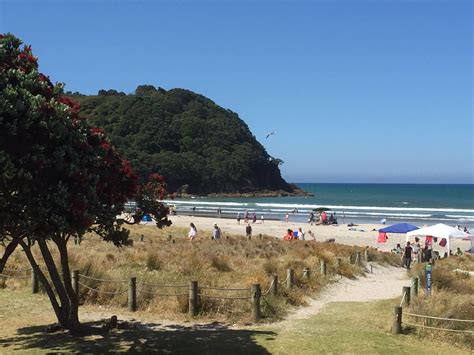 Discover The Best Beaches In The Bay | Bay of Plenty NZ