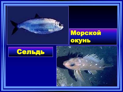 Северный Ледовитый океан - презентация онлайн
