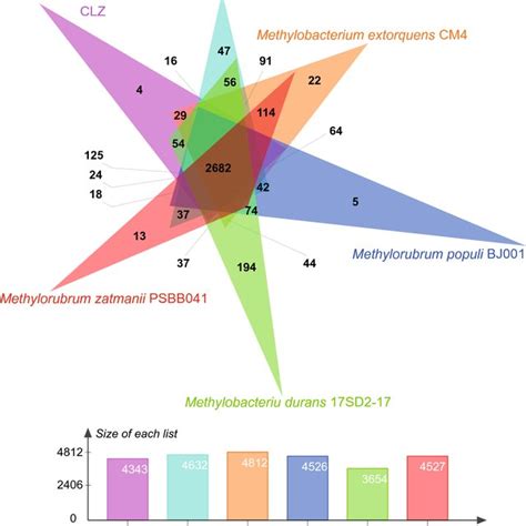 Classic Venn Diagram For Conserved And Unique Gene Families In The Download Scientific Diagram