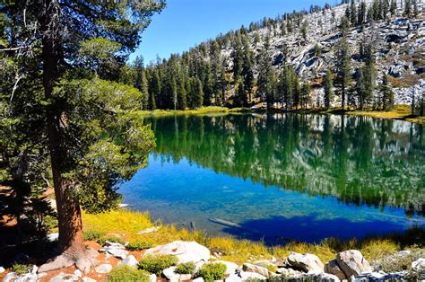 The Beauty Of Kings Canyon Sequoia