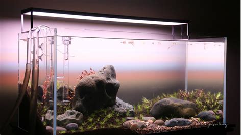 Riverside Iwagumi ADA 90P Aquascape Step By Step Setup Part 2