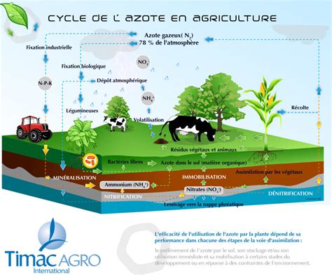 Nos R Alisations Anaximandre Sciences Et Sant