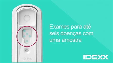 Idexx Snap O Testes R Pido Para C Es E Gatos Mais Usado Pelos