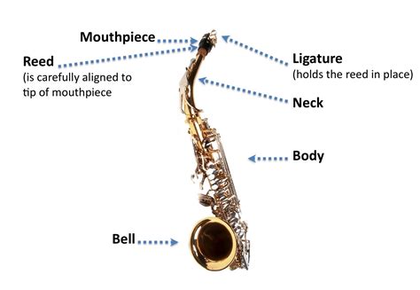 Parts of the Saxophone