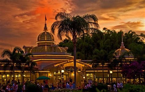 Crystal Palace Breakfast Review - Disney Tourist Blog