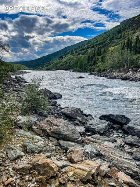 Nenana River in Alaska near Denali national park 이미지 1734586286 게티이미지뱅크