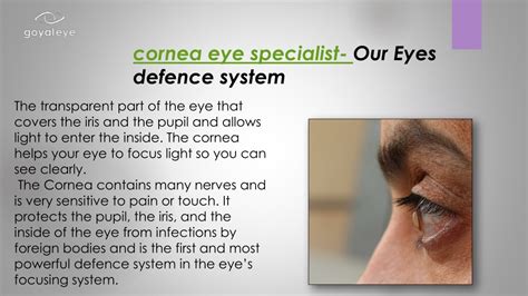 Ppt Best Cornea Specialist Doctor In Delhi Powerpoint Presentation Free Download Id11623887