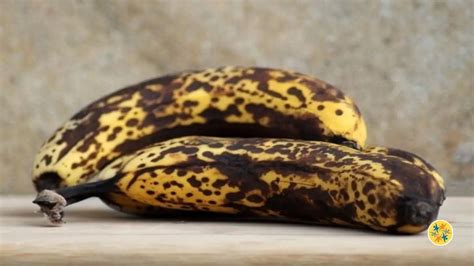 3 Recettes avec des Bananes Mures et Faciles à Faire