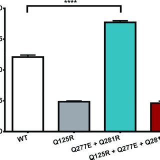 Protease Activity Assay Protease Activity At PH 7 5 37C For 10