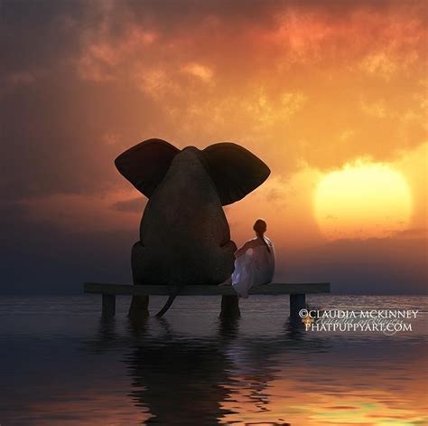 Elephant sunset - Bruce Cryer