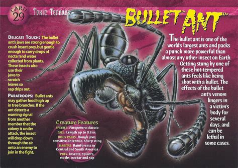 Bullet Ant | Wierd N'wild Creatures Wiki | FANDOM powered by Wikia