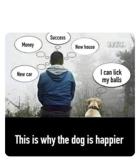 An Act Of Got That Dawg In Him Meme By Absolute Memedroid