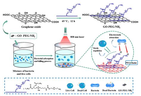 Polymers Free Full Text Graphene Oxide Composite For Selective