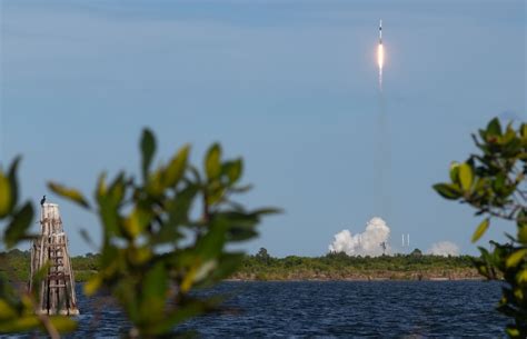 Sucesso SpaceX lança novo lote de satélites Starlink e realiza a 29ª