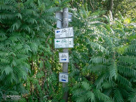 Niebieski Szlak Rowerowy Nr Strumie Pszczyna Rowerem Po L Sku