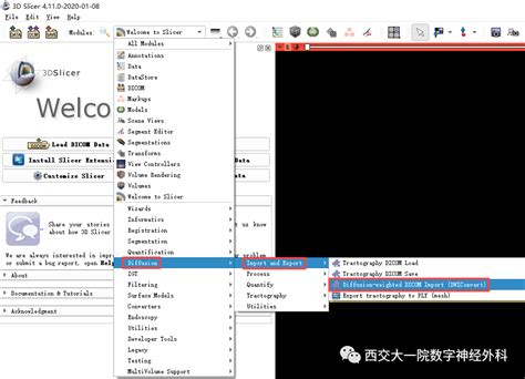 Dicom文件多张dti原始图像为一个dicom文件的如何导入 Csdn博客