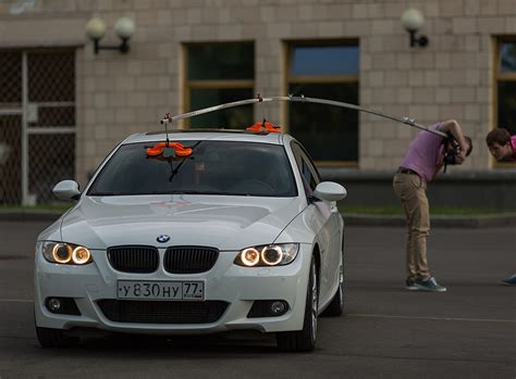 бэшка белочка :) — Сообщество «Фотография» на DRIVE2