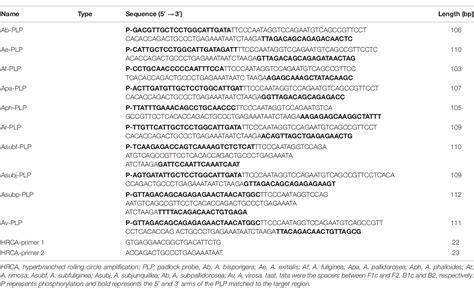 Table 2 From Development And Evaluation Of Isothermal Amplification