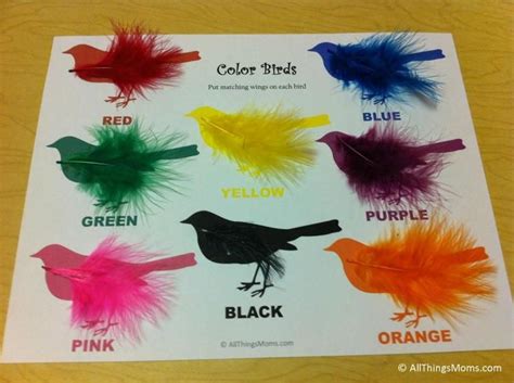 Discover 43 Bird preschool theme and preschool ideas | preschool crafts ...