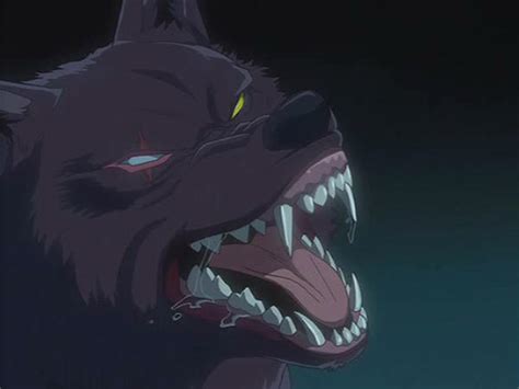 Darcia Wolfs Rain Image 4180577 Fanpop
