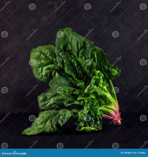 Freshly Harvested Spinach On Dark Kitchen Plate Stock Photo Image Of