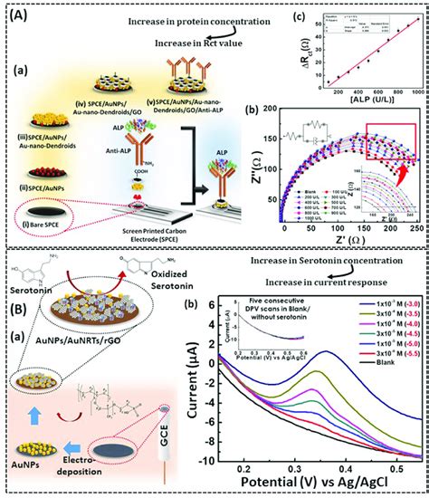 Shows Two Different Class Of Electrochemical Biosensor A Schematic