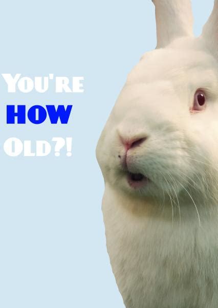 Shocked Rabbit Birthday Thortful