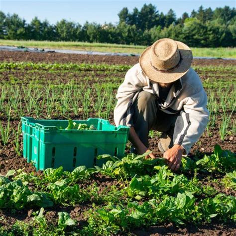 オーストラリアのワーキングホリデーってどれくらい稼げるの？給料について解説 ｜アクティブウーマン留学センター