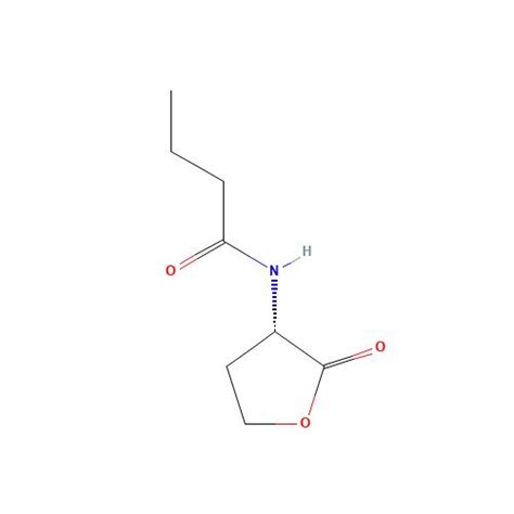 N Butyryl L Homoserine Lactone CAS 67605 85 0 SCBT Santa Cruz