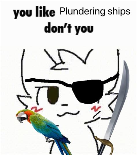 You Like Plundering Ships Don T You Pirate Boykisser Pirateposting