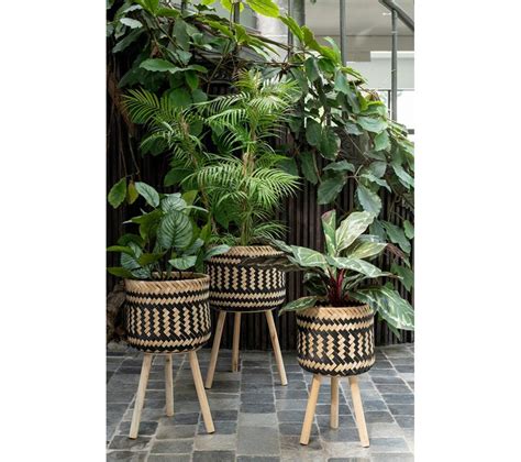 Lot De Cache Pots Sur Pied Baudoin Cm Naturel Et Noir Pot De