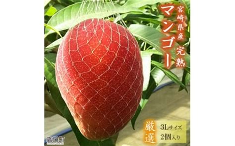 ＜宮崎県産完熟マンゴー3l×2個＞※2024年4月上旬〜6月下旬迄に順次出荷｜ふるラボ