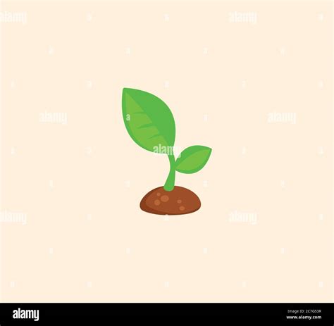 Seedling Stock Vector Images Alamy