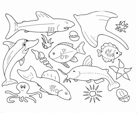 Ocean Animals Coloring Pages - ColoringBay