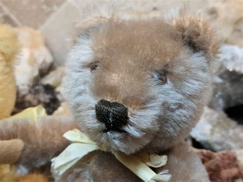 1950s 1960s Vintage Caramel Steiff Original Teddy Bear Teddy Bear