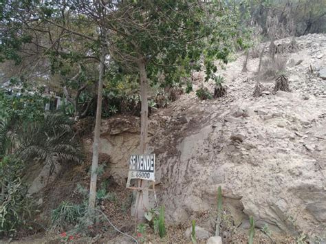 Fotos De Vendo Terreno En Chaclacayo M Urb Los Girasoles De