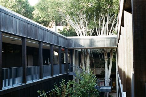 Some recent film photos that I took at UCSD : r/UCSD