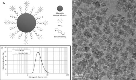 Dual magnetic/radioactive tracer. a Schematic diagram of 99mTC-dx-Fe3O4 ...