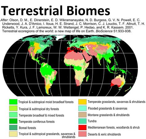 Terrestrial Biomes