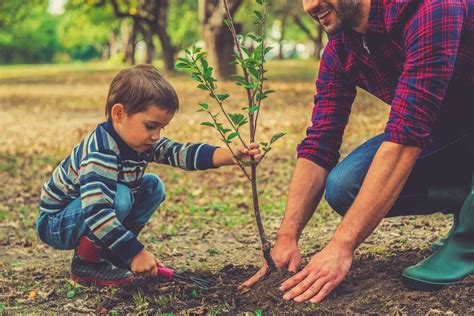 Benefits of Planting Trees for Children and Students