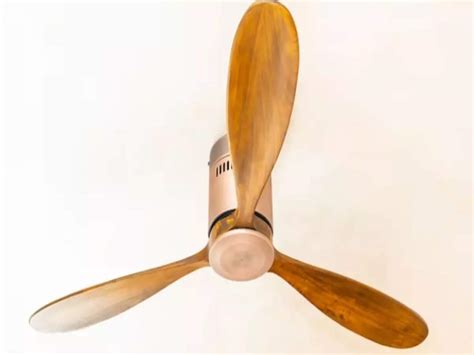 Ceiling Fan Comparison India Shelly Lighting