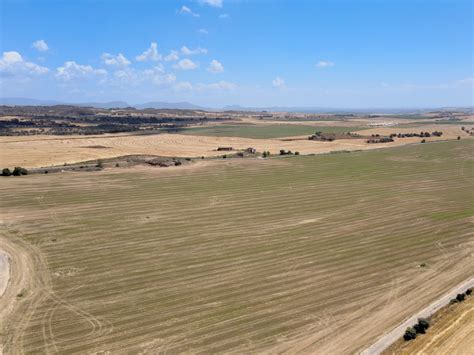 Riego Por Goteo Subterr Neo En Finca De Alfalfa Azud