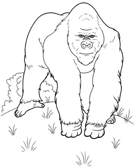 Gorilla Coloring Pages Printable - Printable Word Searches