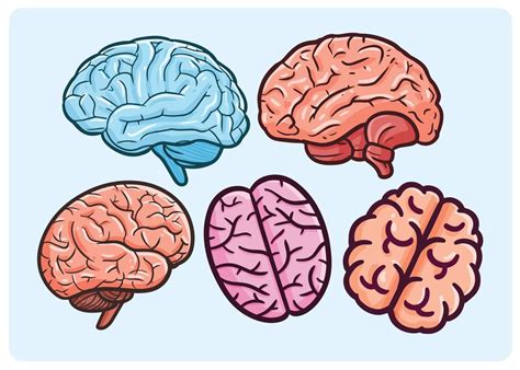 Conjunto De Ilustración De Dibujos Animados De Cerebro Divertido