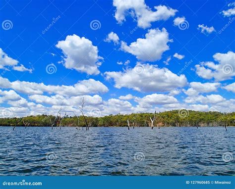 Lake Monduran in Queensland, Australia Stock Image - Image of water ...